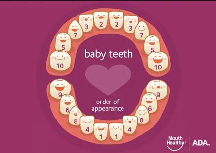 Keep an eye out for baby teeth ​