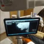 Our dedicated dental team providing top-quality oral care for children in a child-friendly clinic. Little Pearls Dental Care focuses on creating stress-free dental visits.