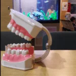 Our dedicated dental team providing top-quality oral care for children in a child-friendly clinic. Little Pearls Dental Care focuses on creating stress-free dental visits.